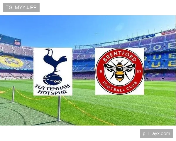 布伦特福德防线全面升级，新防守体系助力英超竞争力跃升