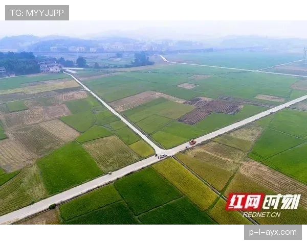 亚特兰大擘画可持续城市生活新蓝图，聚焦绿色未来