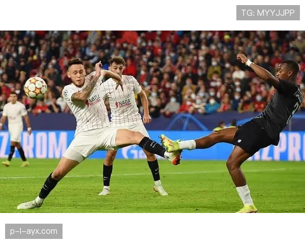 奥坎波斯比赛阅读