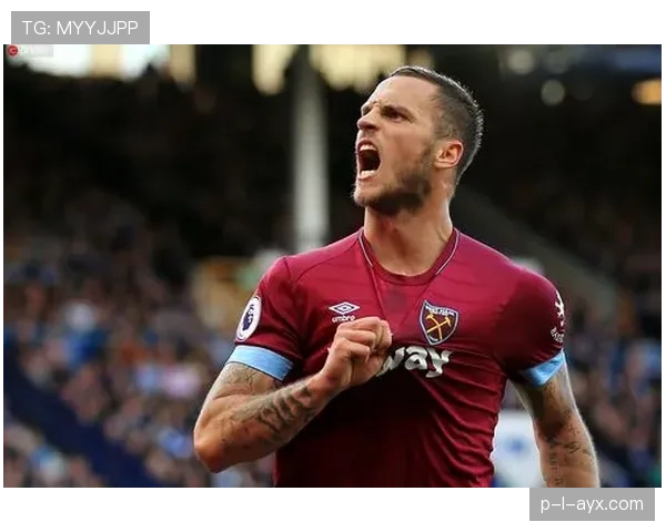 奥斯卡战术适配性